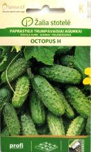 Gherkin Octopus F1 Seed